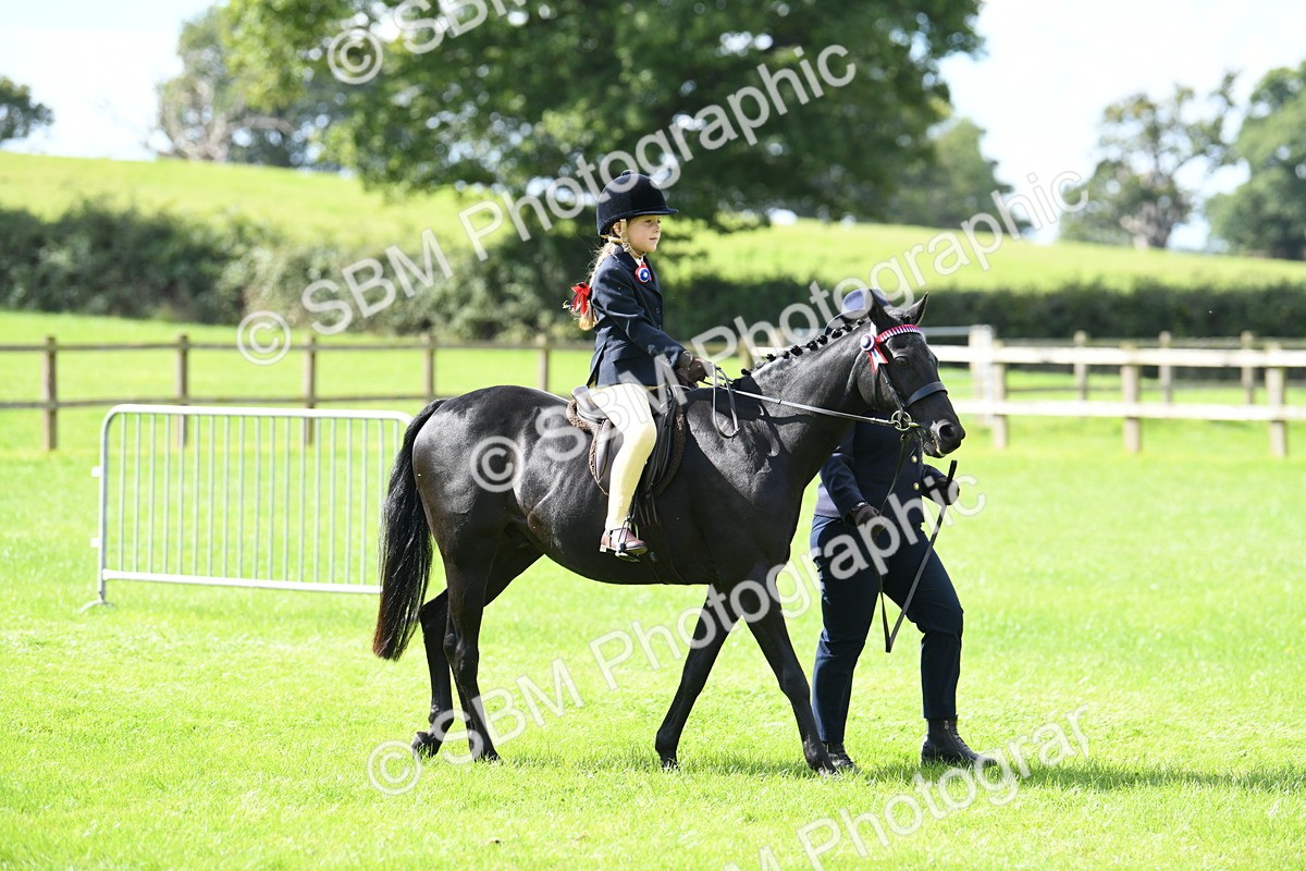 SBM_41132 - S19 - Lead Rein Show & Show Hunter Pony