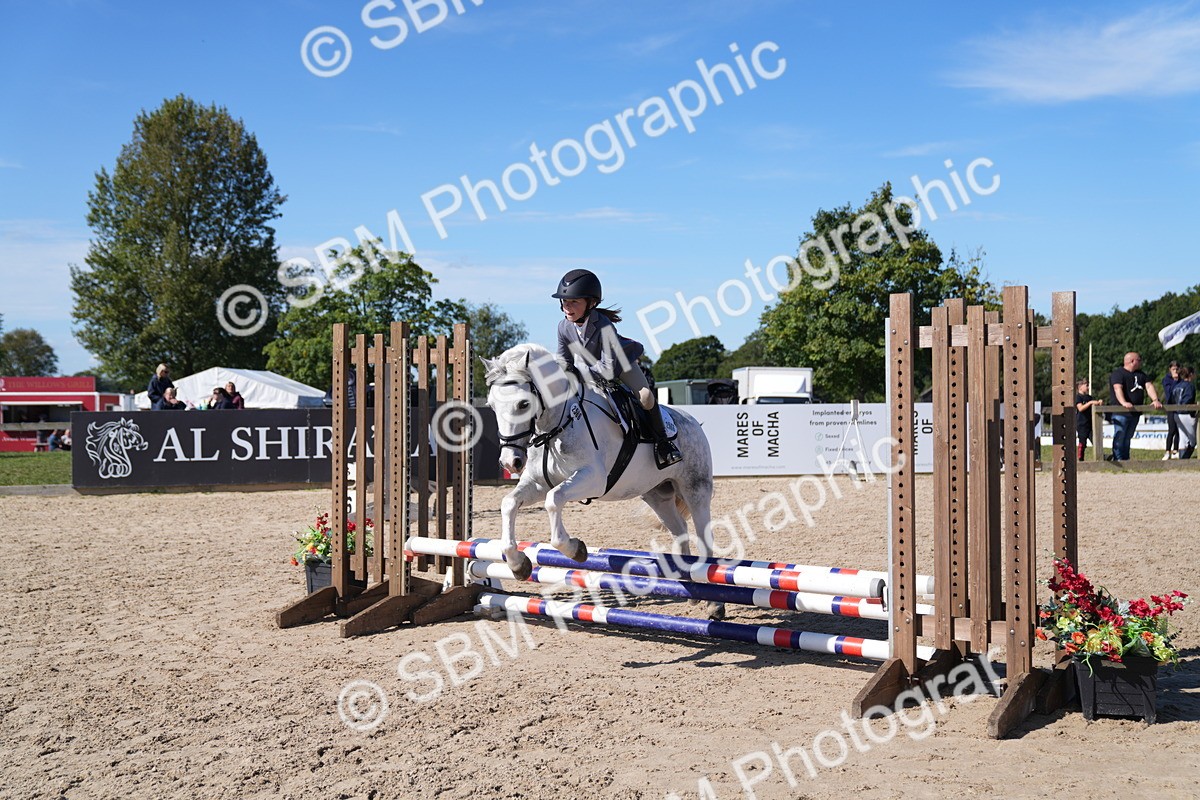 SBM_19510 - J57 - Clear Round 50cm