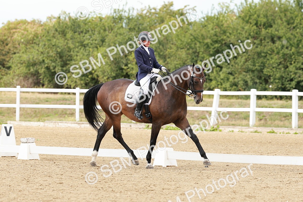 SBM_002422 - Class 11 - Medium 6