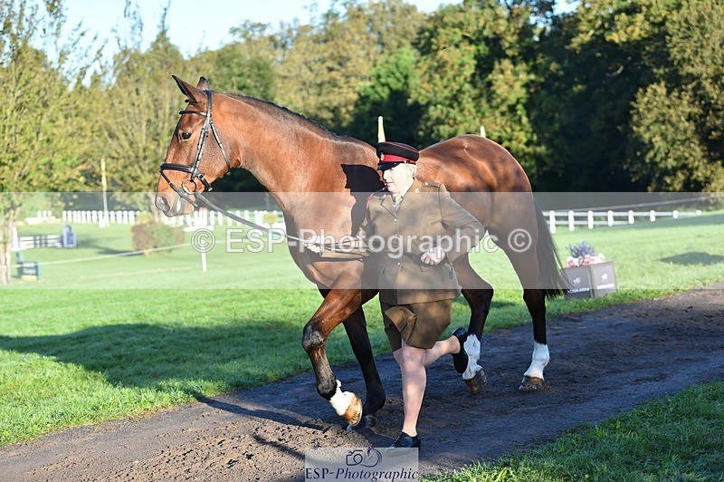 231022-090614-21565 - 634-PEMBROKE.MASTER.PIECE-Joanna.Dunn-TrotUp+SJ