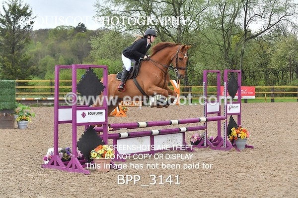 BPP_3141 - CLASS 12 SUN Club/ Unaffiliated 80cms Open