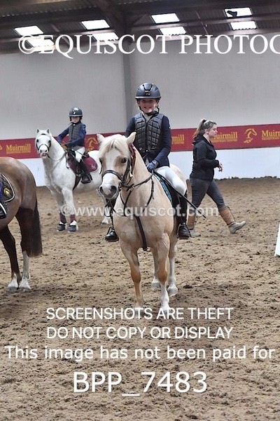 BPP_7483 - 40CM WORKING HUNTER