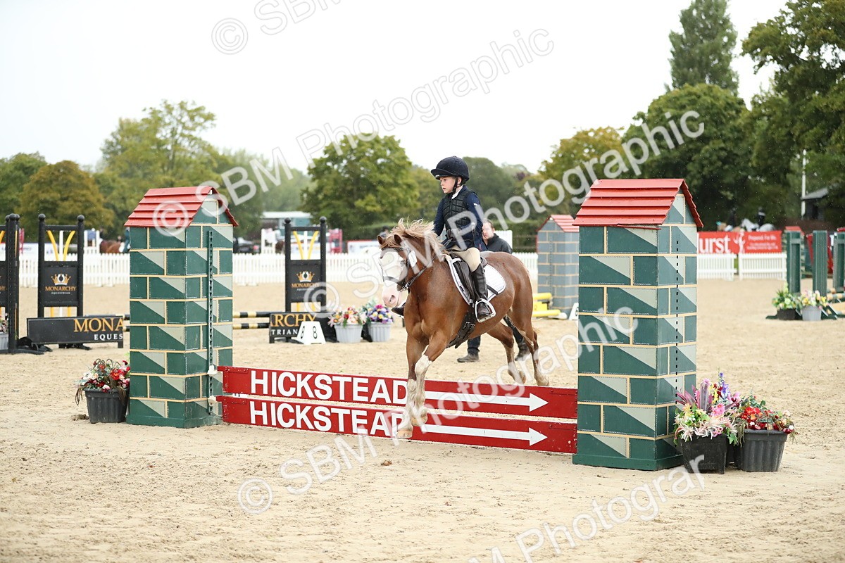 SBM_34527 - J60 Clear Round 50cm