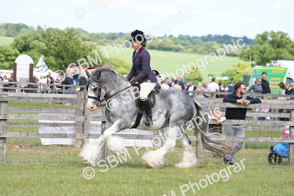 SBM_17163 - Class 107-108 - LIHS BSPS Performance Coloured Horse Pony