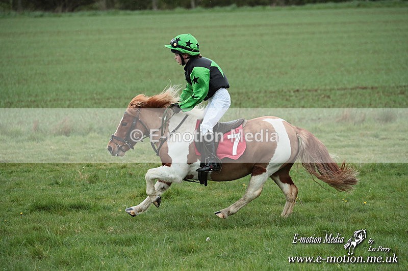 SHETPR 210425 230 - Shetland Ponies Paxford Races 21/04/25