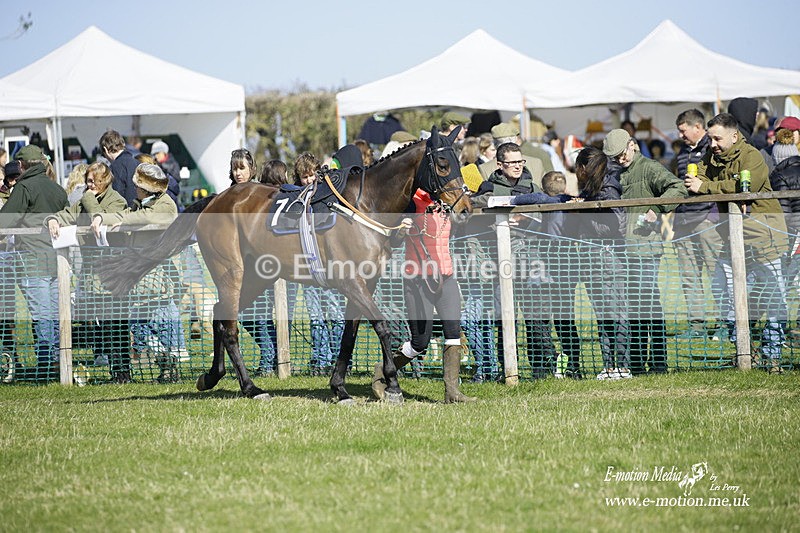 PtP 190322 439 - Wilton Hunt PtP Milborne St Andrew 19/03/22