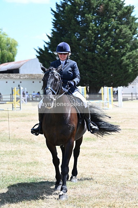 WJ7_2821 - Class 7 Riding Club Show Horse