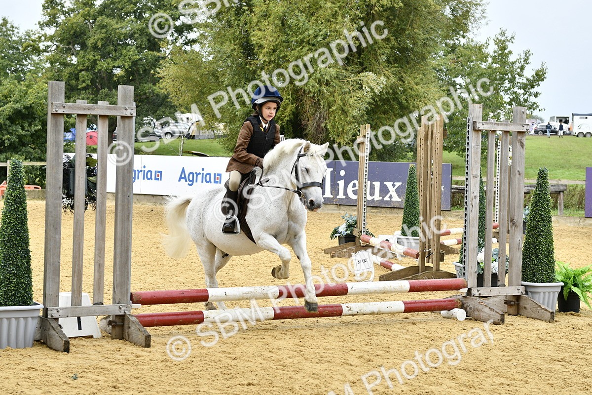 SBM_57405 - J61 - Mini Clear Round 30cm & 40cm