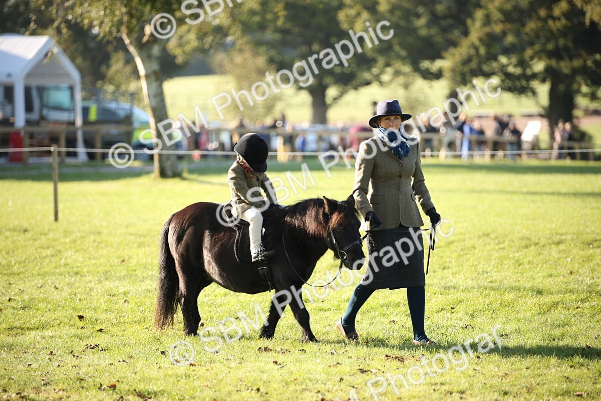 SBM_34158 - S9 - Lead Rein Equitation