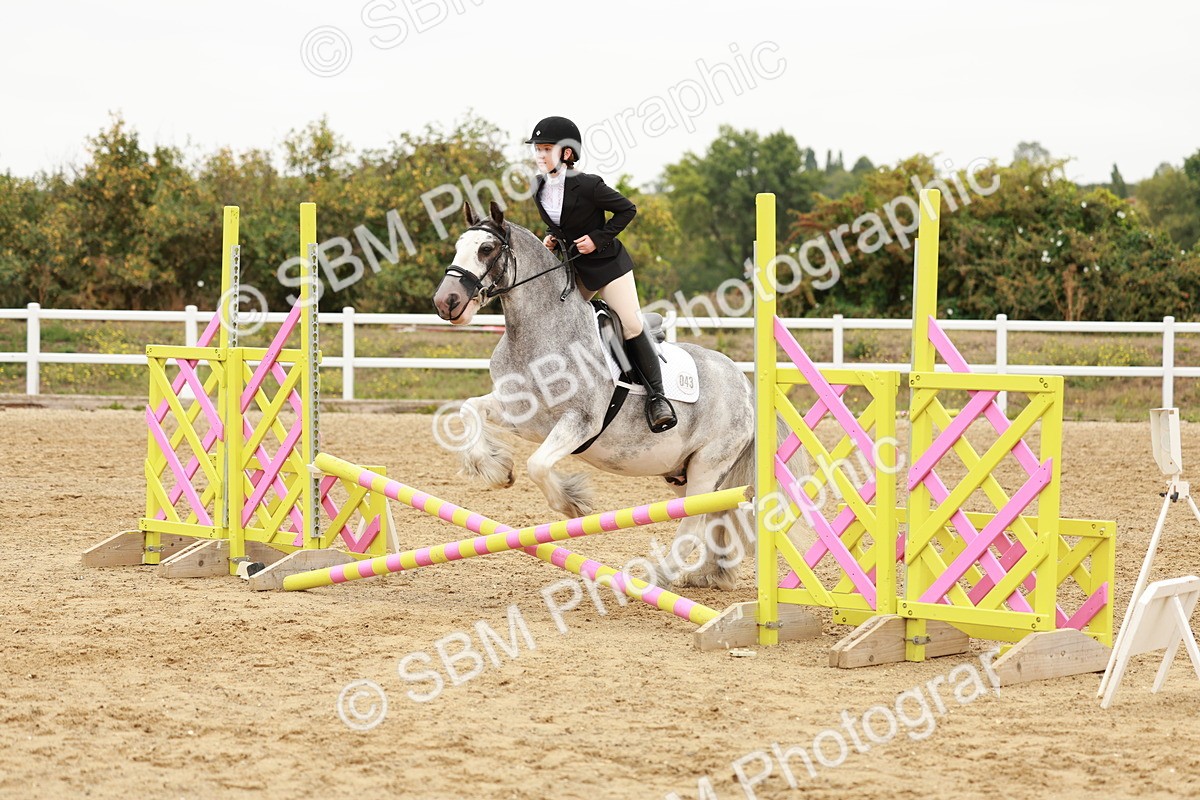 SBM_007489 - Class 2 - 50cm