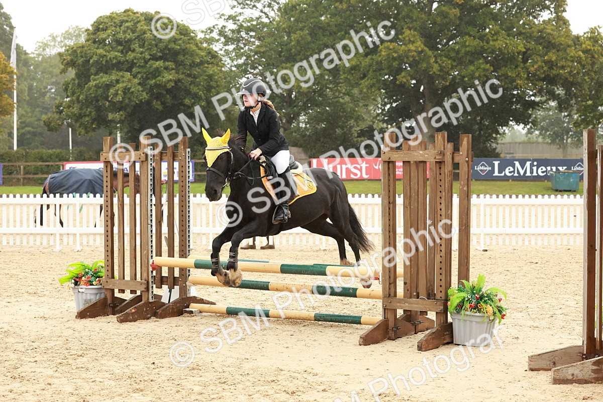 SBM_73314 - Supreme Championship Junior Pony 60cm & 65cm
