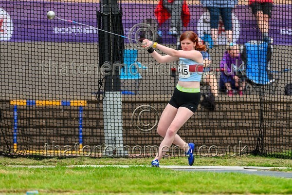 Sen25SAT-926772 - Field Female Set Two