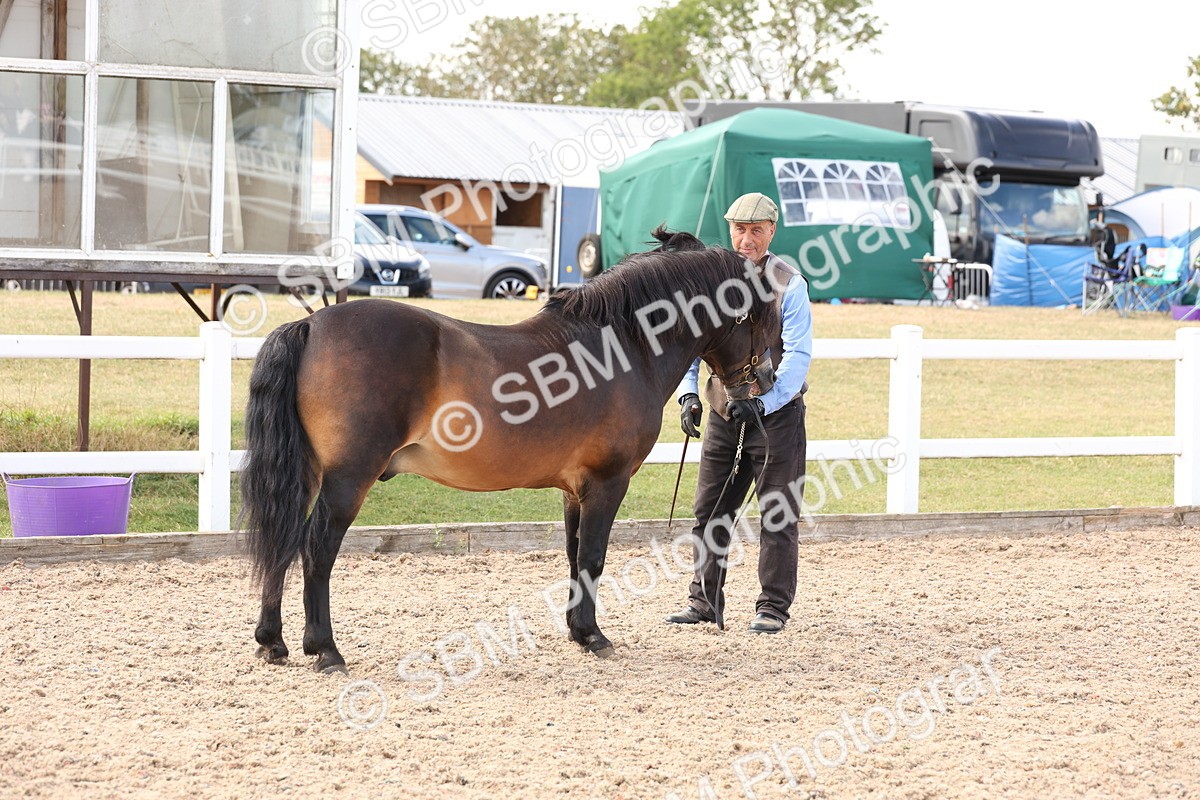 SBM_15072 - Class 209 - IH Veteran Pony