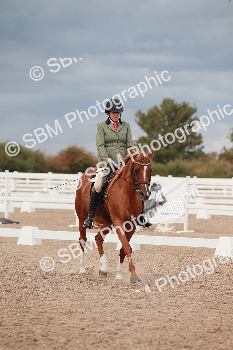 SBM_06007 - Class 32 - Novice 1