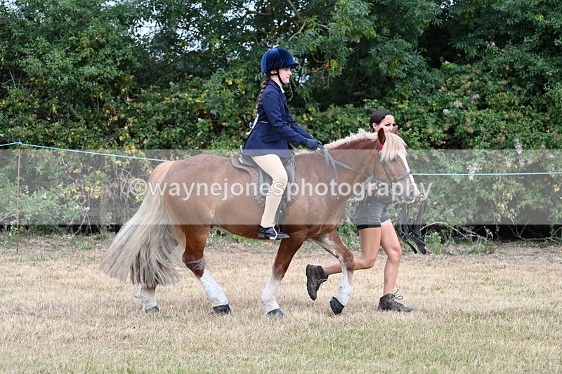 WJ7_0258 - Class 2 Best rider