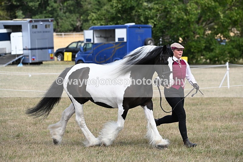 WJ6_6511 - Class 20 In-hand Cob