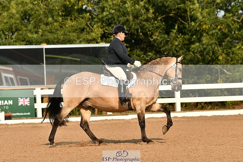 250817-092219-06884 - 082-Sarah.DavisWinston.Classic.Gold