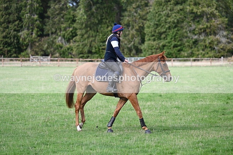 WJ7_9614 - Time 13:13 to 13:55