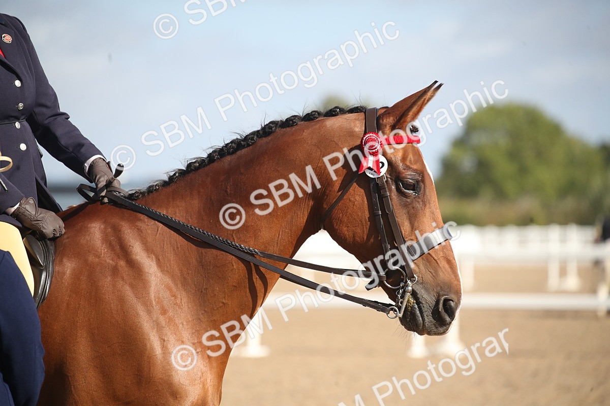 SBM_22812 - Class 602 - 2026 Area - Ridden Veteran