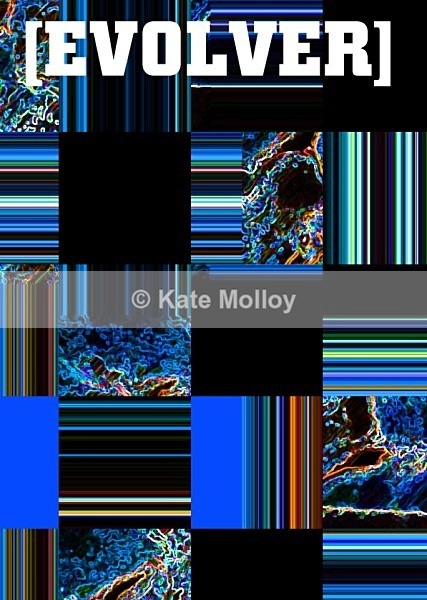 Stripe - Evolver Prize 2011