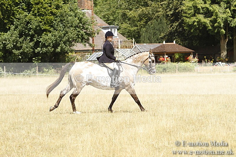 _BS_0774 - BVRC Show 2018 Ring 1