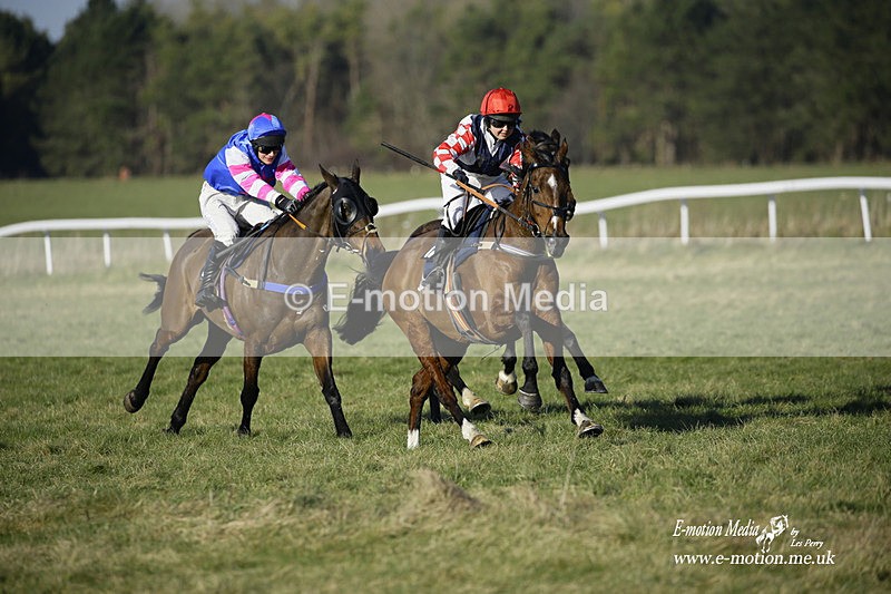PtP 270222 216 - South & West Wilts Point-to-Point Larkhill 27/02/22