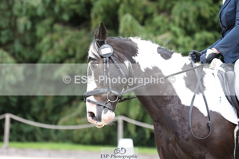 230813-140422-07507 - Cls 11 Elem Bronze 13.15 to 14.10 break