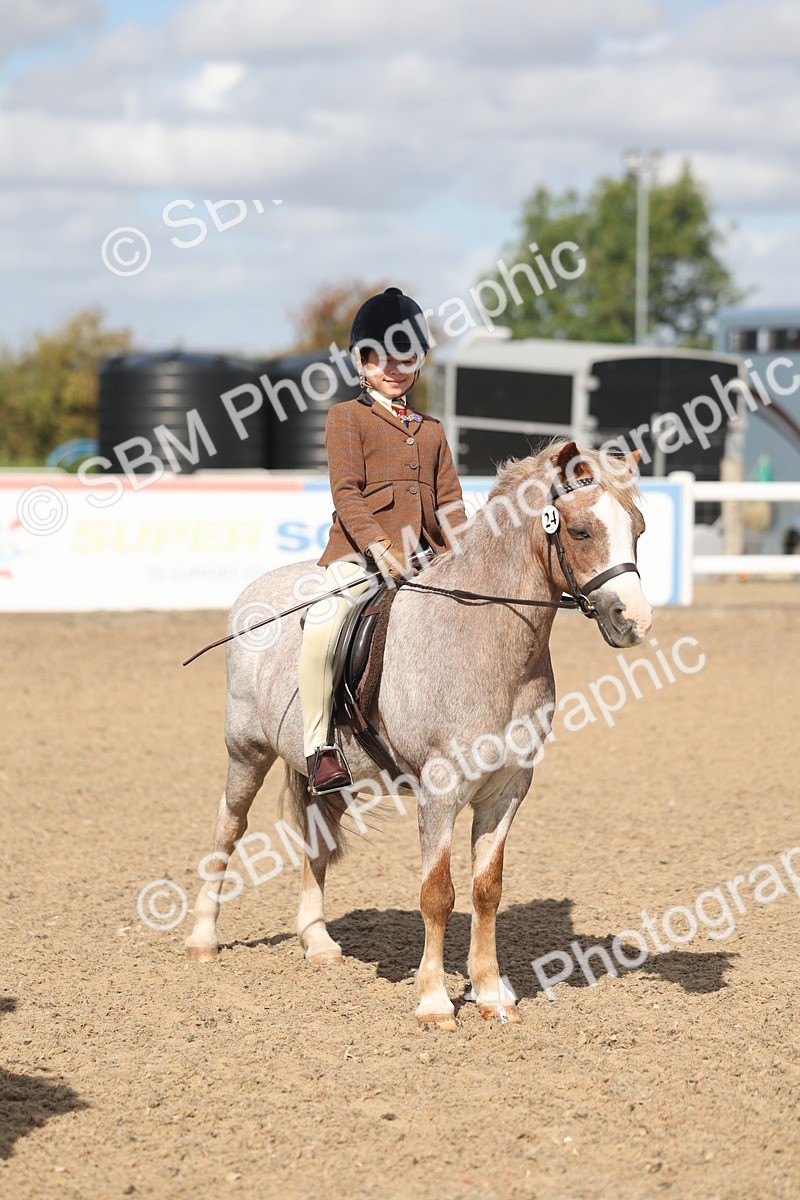 SBM_23157 - Class 806 - Young Rider 10ry and Under