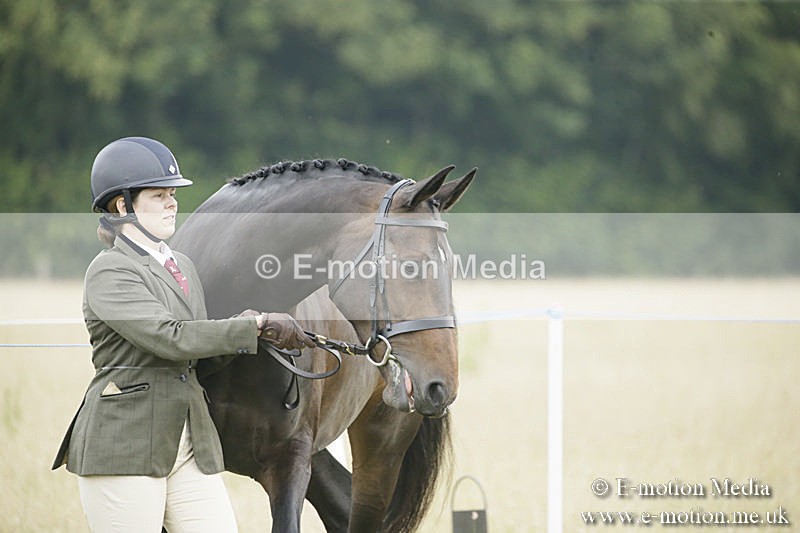 B230619-0263 - Bourne Valley Riding Club Summer Show 23/06/19