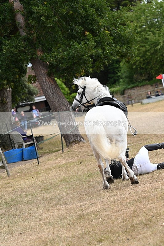 WJ7_0408 - Class 6 Ridden Mountain and Moorland