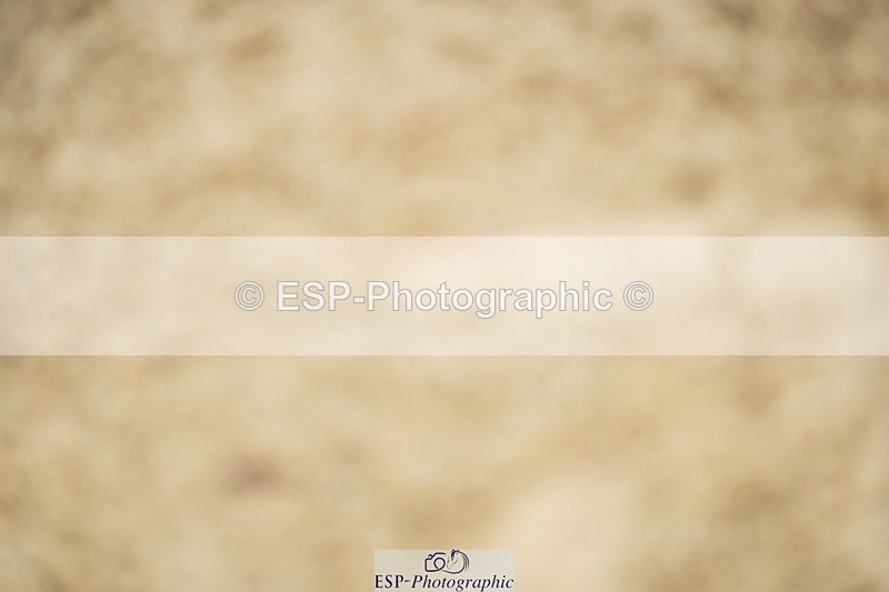 240309-132104-00888 - Cls 02 AE 80cm