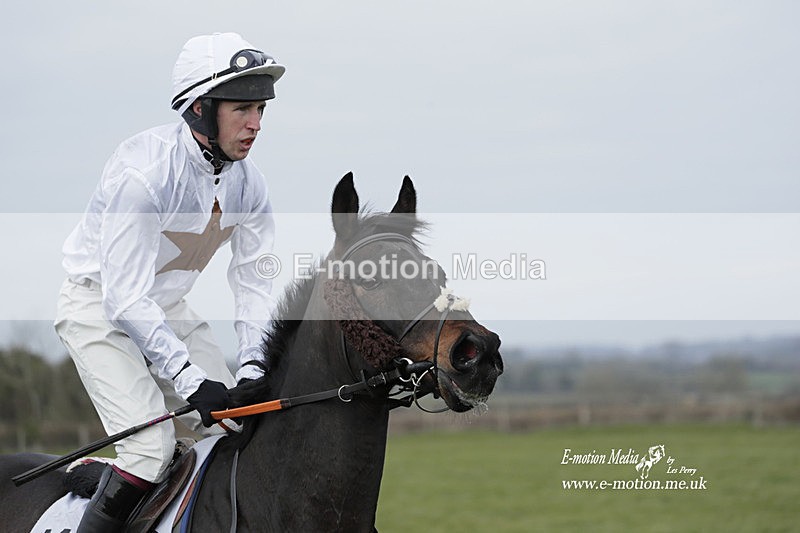PtP 050323 965 - Blackmore & Sparkford Vale Hunt PtP - Somerset 05/03/23