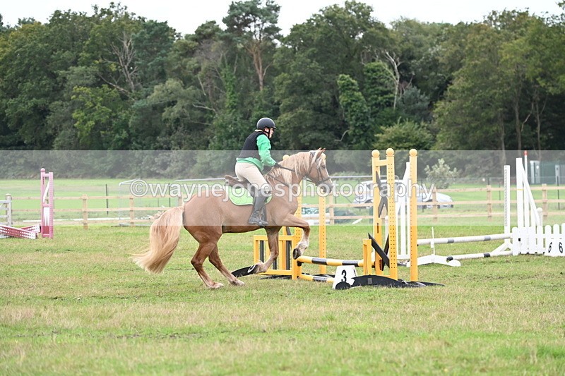 WJ6_0502 - 40cm Time 10:29 to 10:52