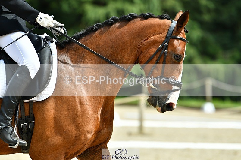 230623-145552-02630 - Cls 6 Elementary 53Q