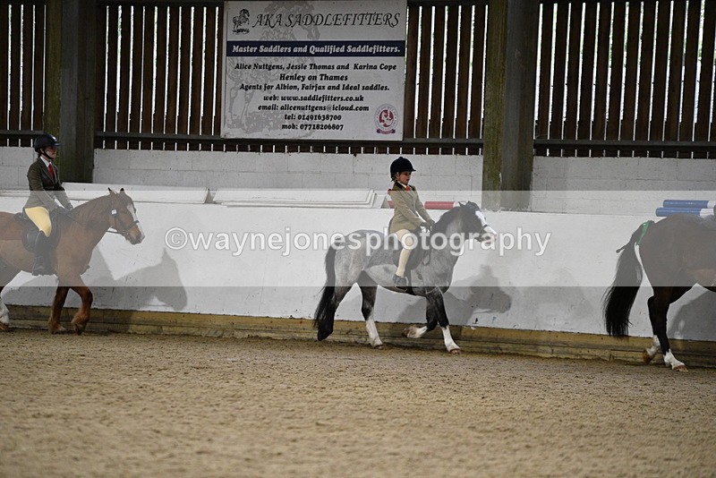 WJ5_8181 - Class 14 Novice Ridden/Rider