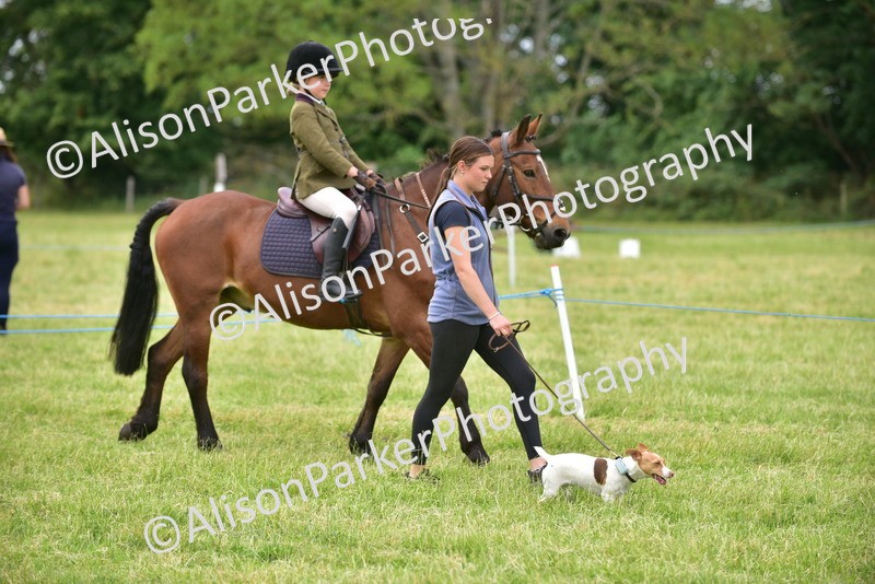 20260614-4521 - Class 19 - Cutest Pony, Rider and Dog Combination