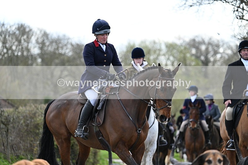 WJ7_9810 - Walk Home