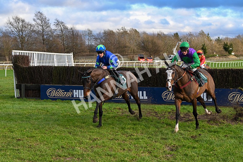 020224-Race 5-Shighness-8422 - Race 5