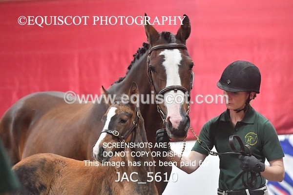 JAC_5610 - 13 Zi Real McCoy
