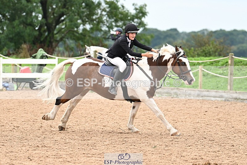 240907A-131117-01904 - Cls 3 Pony Medium Team 80cm & 90cm