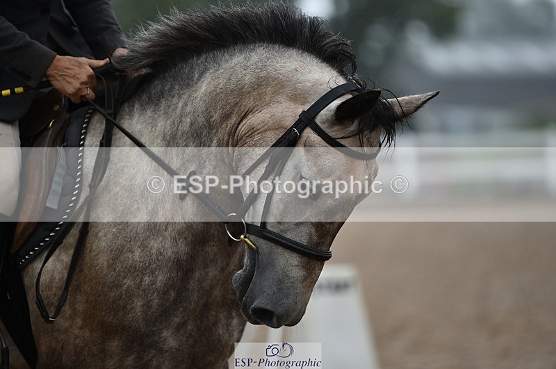 220829A-152510-00039 - Clear Round & 60cm  1a - 1b