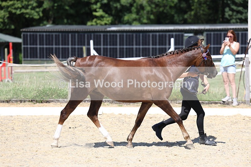 3E7A9577 - Class 32: Best Grass Kept