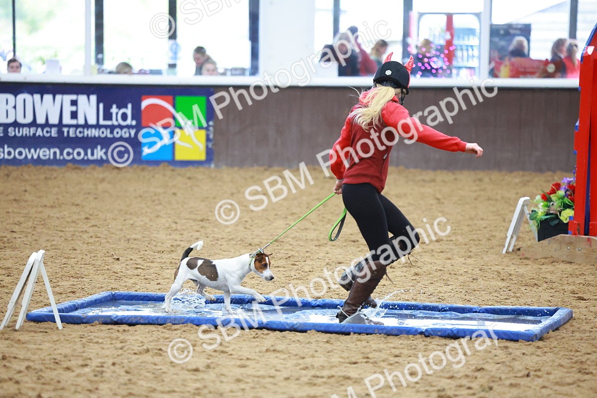 SBM_002127 - Class 3 - Horse & Hound (60cm)