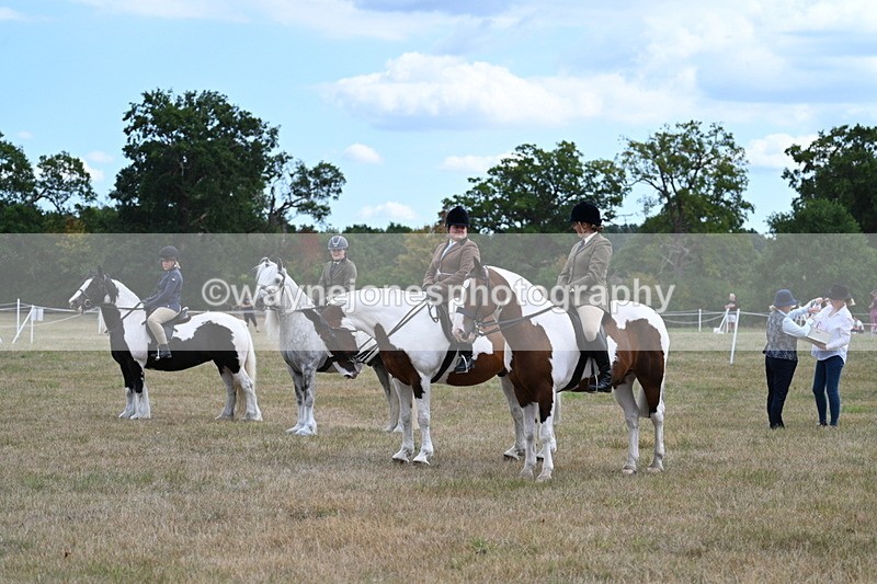 WJ7_5494 - Class 12 Ridden Cob