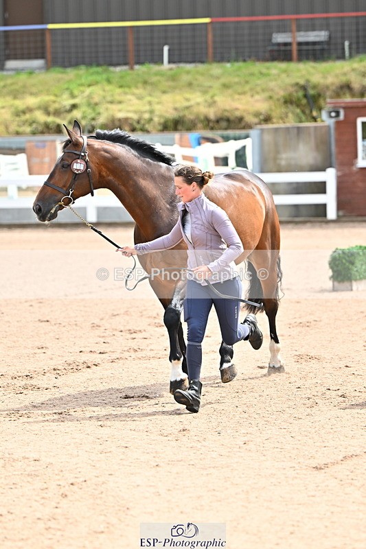 240718A-105236-00886 - Trot Up 11am to 12pm