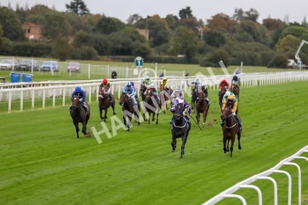 131023-Race 1-Pilgrim-9701 - Race 1 2.05pm William Hill EBF Novice Stakes