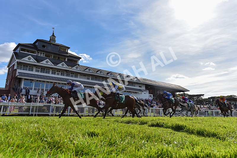 160924-Race 3-Moostar-6557 - Race 3