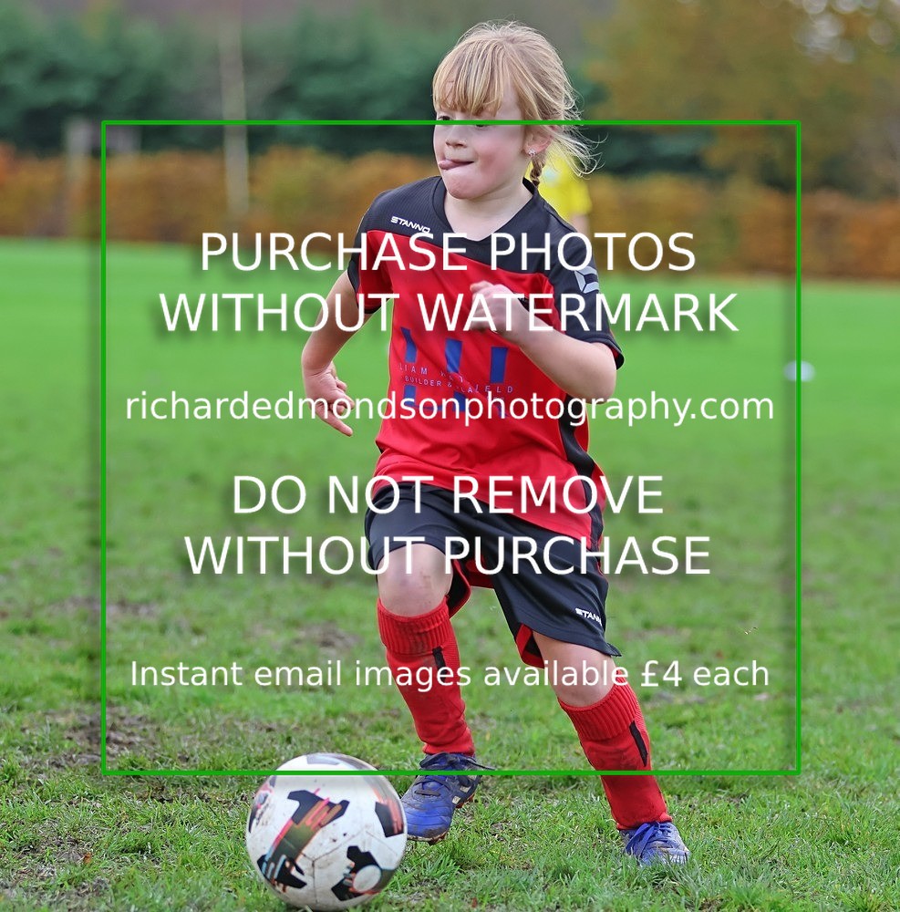 533A3309 - Kendal Utd U8's vs Sedbergh Wanderers Juniors U8 (8/11/25)