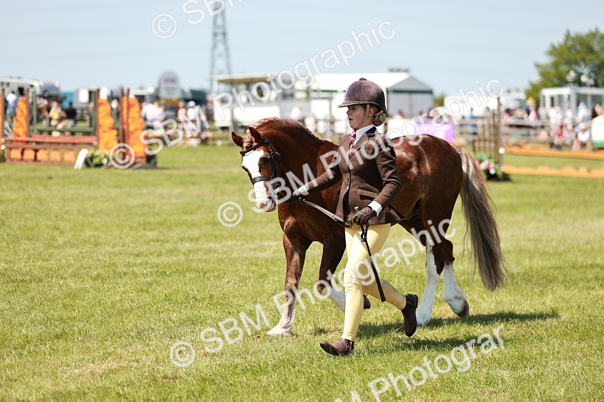 SBM_15547 - Class 108-109 - BSPS LIHS Open Gradle & Nursery Stakes