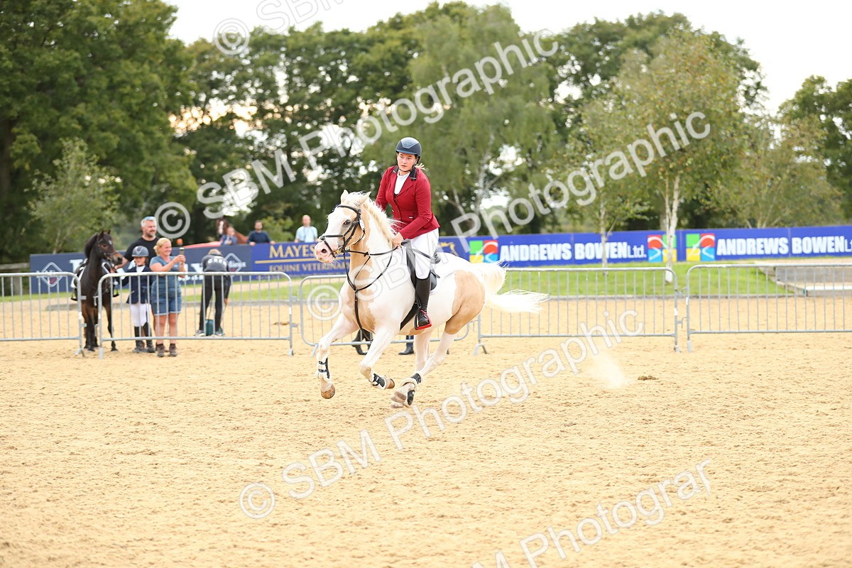SBM_76198 - J19 - Junior 90cm Supreme Championship